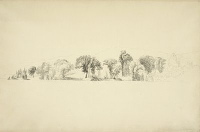 レイクジョージの海岸沿いの木々、ニューヨーク州ボルトン、1863年（紙にグラファイト） 作： Asher Brown Durand